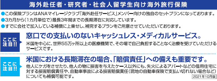 AIG損保の海外長期滞在者保険